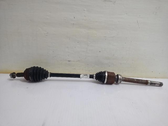 9819435780 Opel