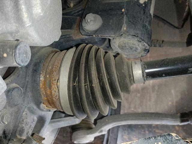 9819435780 Opel