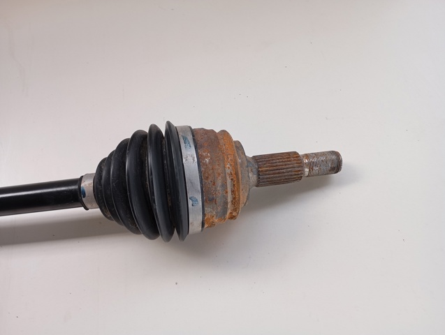 9819435780 Opel