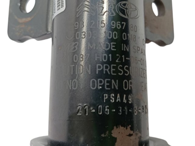 9821596780 Peugeot/Citroen