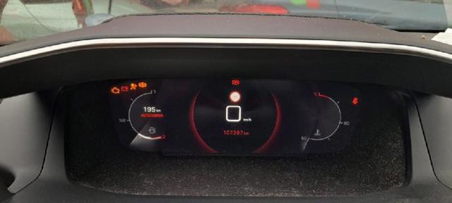 9822060280 Peugeot/Citroen