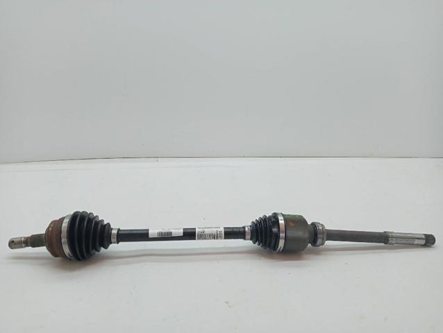9824359680 Peugeot/Citroen