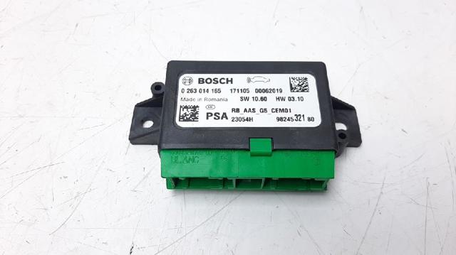 9824532180 Peugeot/Citroen