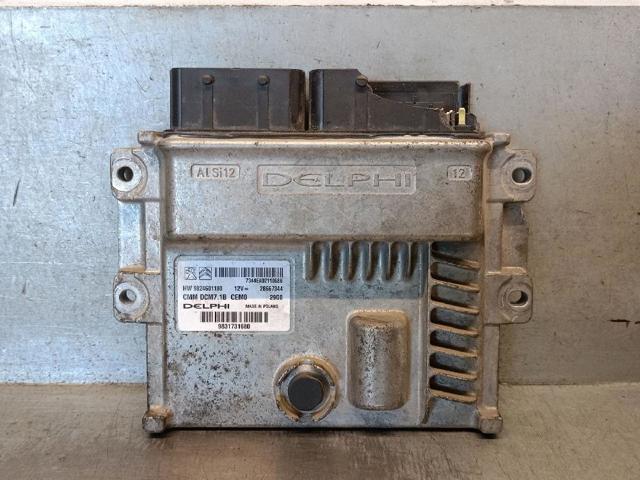 9824601180 Peugeot/Citroen