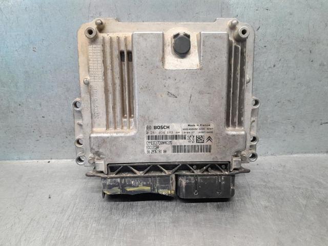 9825318180 Peugeot/Citroen