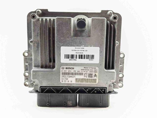 9825318180 Peugeot/Citroen