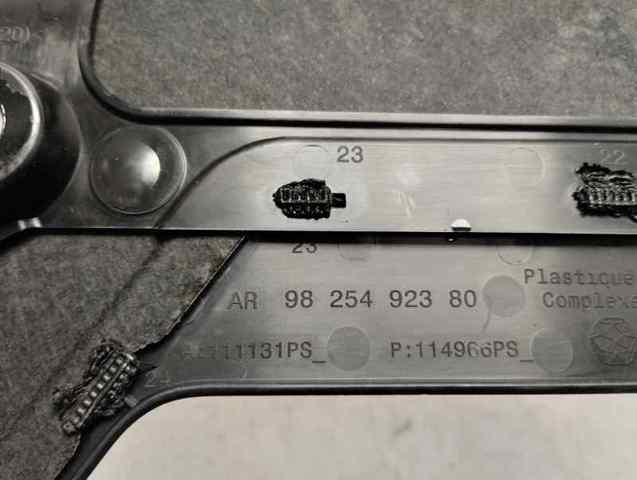 9825492380 Opel
