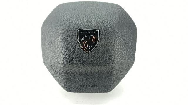 98255207ZD Peugeot/Citroen