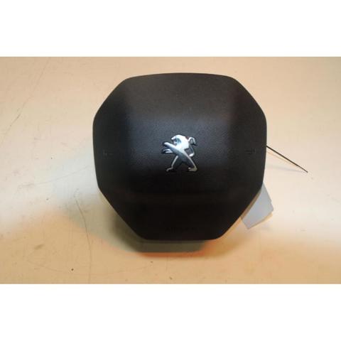 98255207ZD Peugeot/Citroen