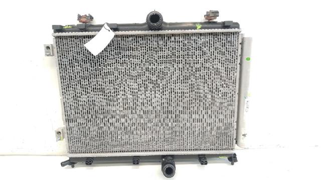 9827174680 Peugeot/Citroen