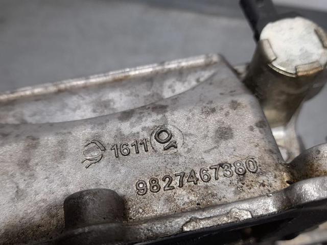 9827467380 Peugeot/Citroen