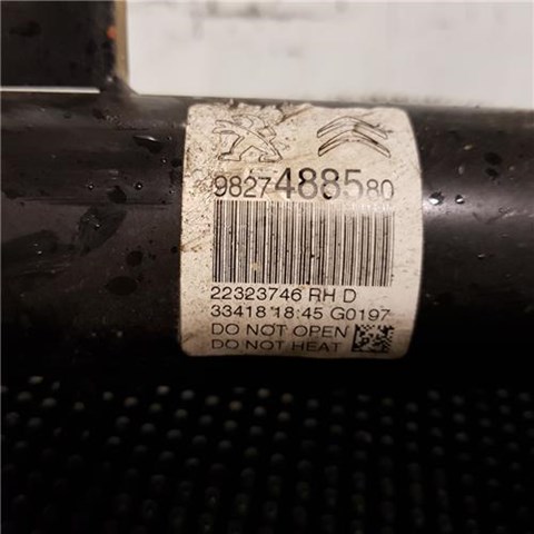 9827488580 Peugeot/Citroen