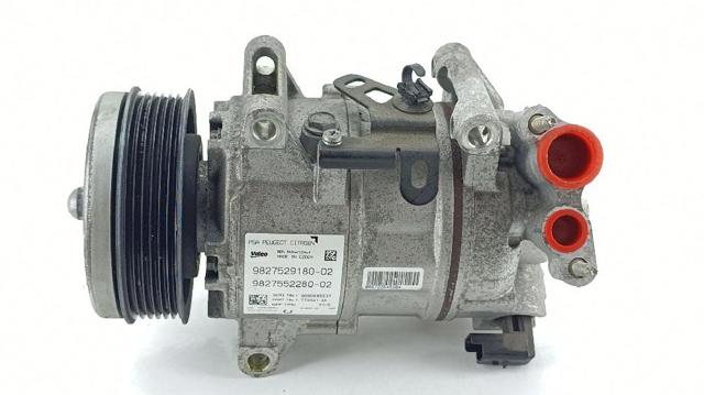 9827529180 Peugeot/Citroen