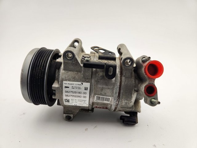 9827529180 Peugeot/Citroen