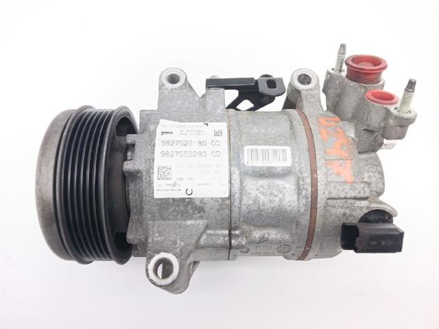 9827529180 Peugeot/Citroen