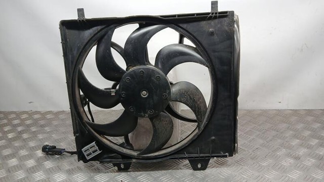9827752980 Peugeot/Citroen