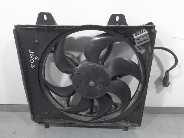 9827752980 Peugeot/Citroen