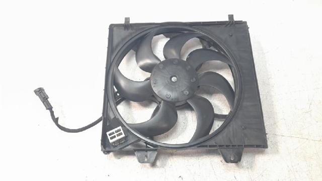9827752980 Peugeot/Citroen