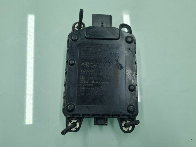 9829009680 Peugeot/Citroen