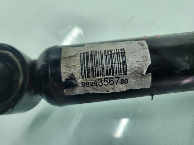 9829356780 Peugeot/Citroen