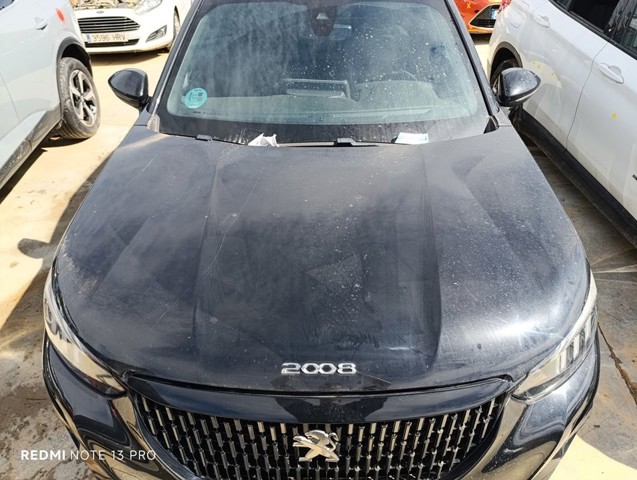 9831044380 Peugeot/Citroen