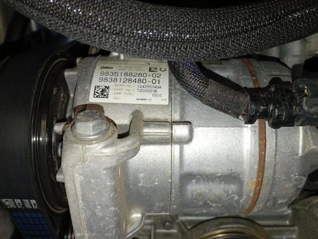 9835188280 Peugeot/Citroen