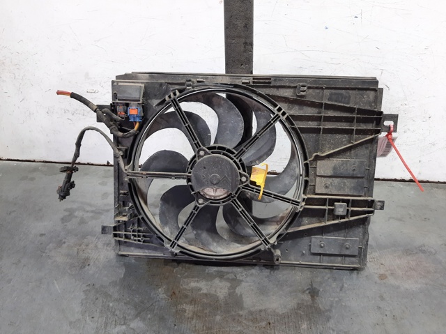 9836636780 Peugeot/Citroen