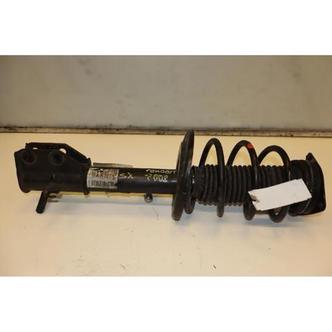 9836654980 Peugeot/Citroen