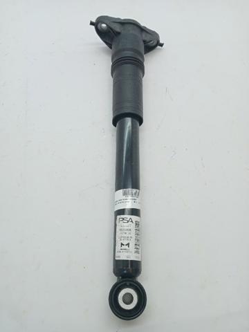 9836658080 Peugeot/Citroen