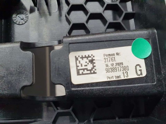 9838917380 Peugeot/Citroen
