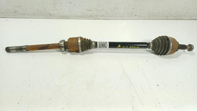 9839532280 Peugeot/Citroen