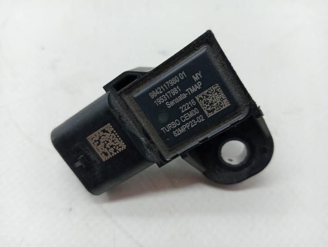 9842117980 Peugeot/Citroen
