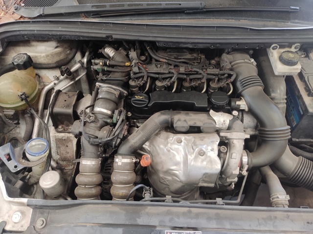  Suzuki SX4  (GY)