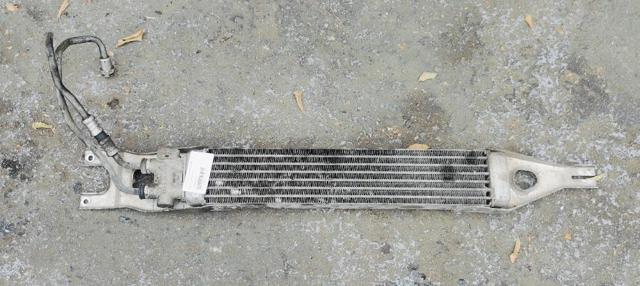 Radiador de óleo A1645002000 MERCEDES