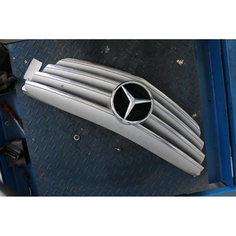 Grelha do radiador A16988007839744 MERCEDES