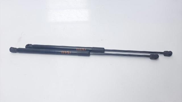 Amortecedor de tampa de porta-malas (de 3ª/5ª porta traseira) A1769800164 MERCEDES