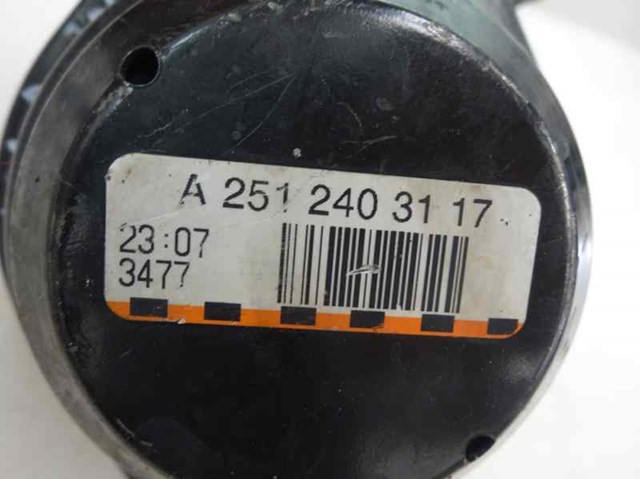 A2512403117 Mercedes