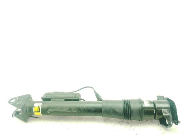 A2513203131 Mercedes