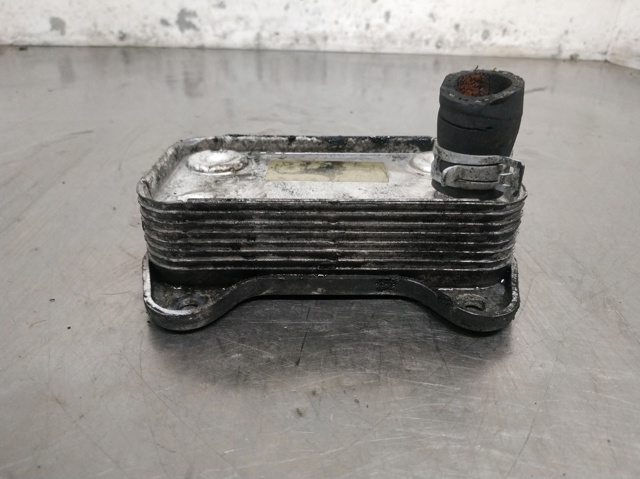 Radiador de óleo A6111880301 MERCEDES