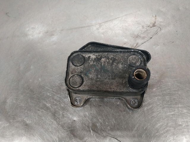 Radiador de óleo A6121880101 MERCEDES