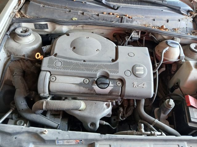 AEX VAG