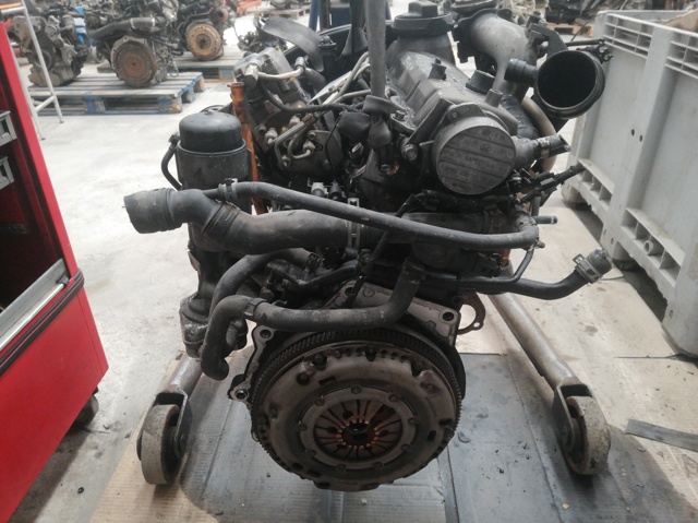 ALH VAG