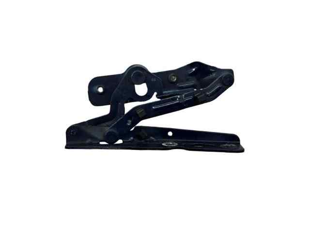 Gozno da capota direito AM5116800BF FORD