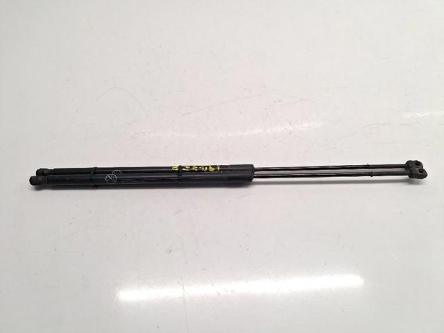 Amortecedor de tampa de porta-malas (de 3ª/5ª porta traseira) AM51R406A10AE FORD