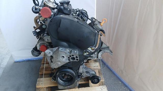 ASV VAG