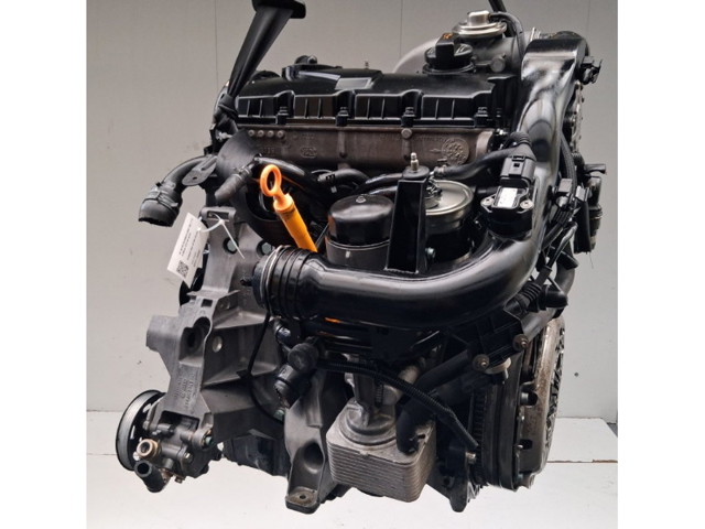 AVF VAG