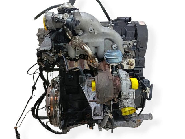 AVF VAG