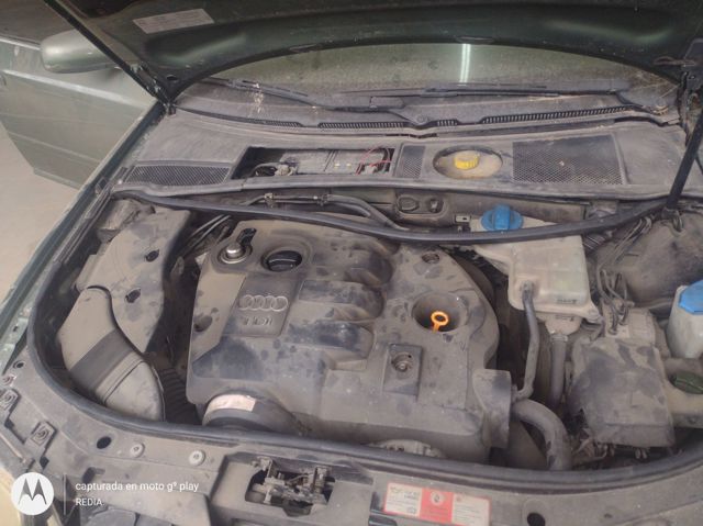 AVF VAG
