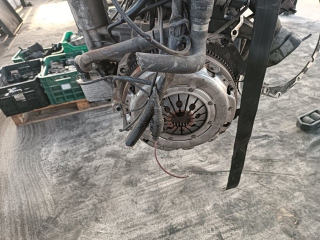 AVF VAG