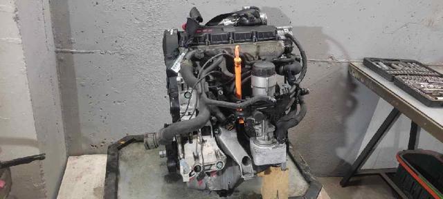 AVF VAG